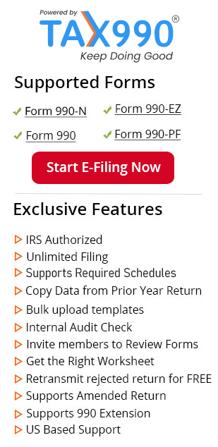 Form990 E-Filing Promotion Banner